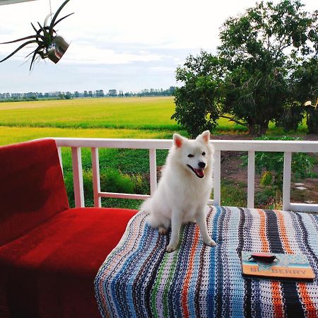 The 99 Cottage Suphanburi Eksteriør billede